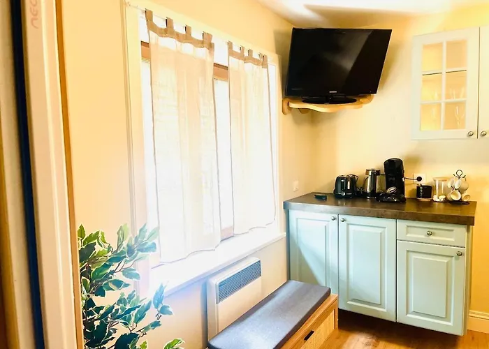 Cosy Avec Grand Terrasse Et Parking דירה *